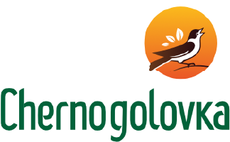 Chernogolovka